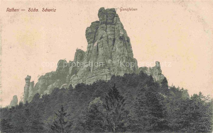 Rathen Saechsische Schweiz Gansfelsen Felsen Felsenformation Wald Sandstein Saec