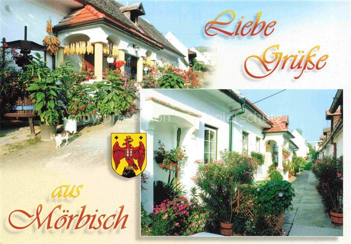 Moerbisch Neusiedlersee Burgenland AT Gasse Haeuser Blumen Weinort Arkaden Katze