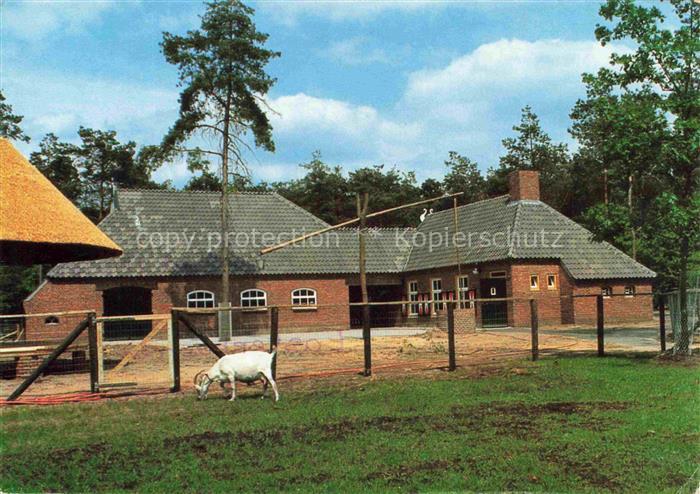 Deurne Noord Brabant NL Kinderboerderij-t-Gemeint Ziegenbock Bauernhof Backstein
