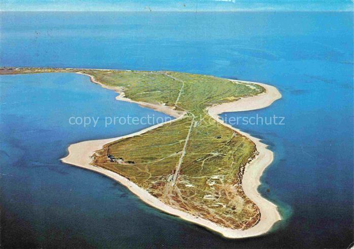 Alt List Sylter-Ellenbogen Sylt Insel Halbinsel Nordsee Duenen Sandstrand Fliege