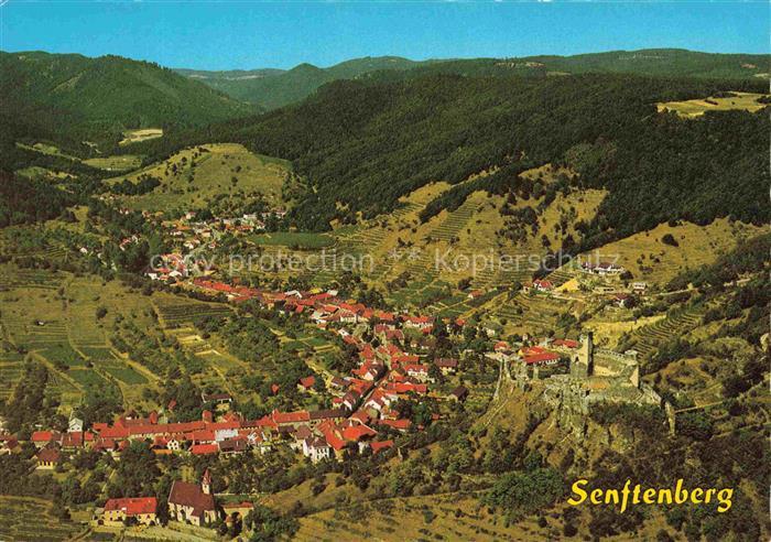 Senftenberg Kremstal Niederoesterreich AT Kremstal Burgruine Weinberge Wald Tal