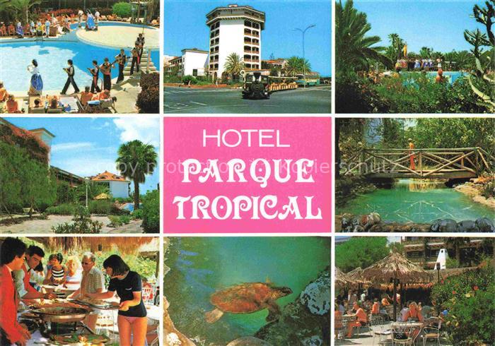 Playa del Ingles Gran Canaria ES Hotel-Parque-Tropical Pool Folklore Schildkroet