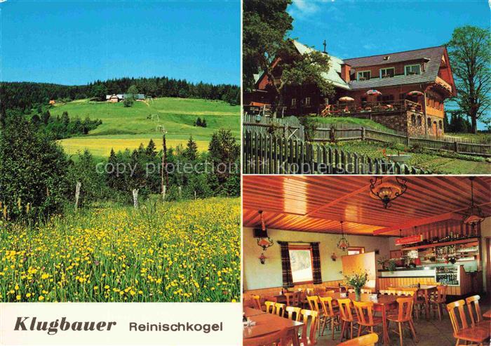 Ligist Steiermark AT Gasthof-Klugbauer Reinischkogel Blumenwiese Gaststube Almga