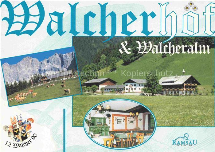 Ramsau Dachstein Steiermark AT Walcherhof Walcheralm Dachstein Sennhuette Kuehe