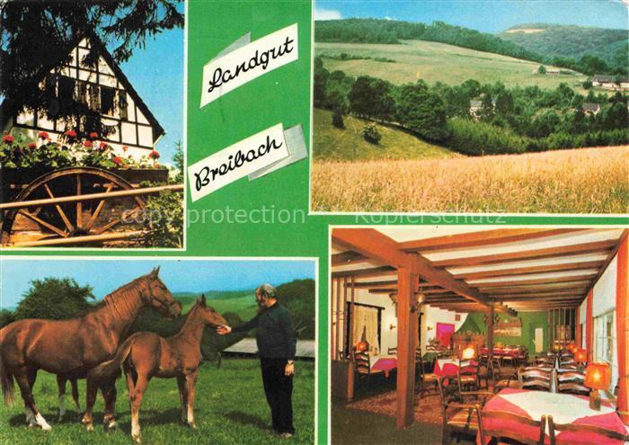 Breibach Kuerten Landgut-Breibach Fachwerkhaus Wasserrad Pferde Gaststube Huegel
