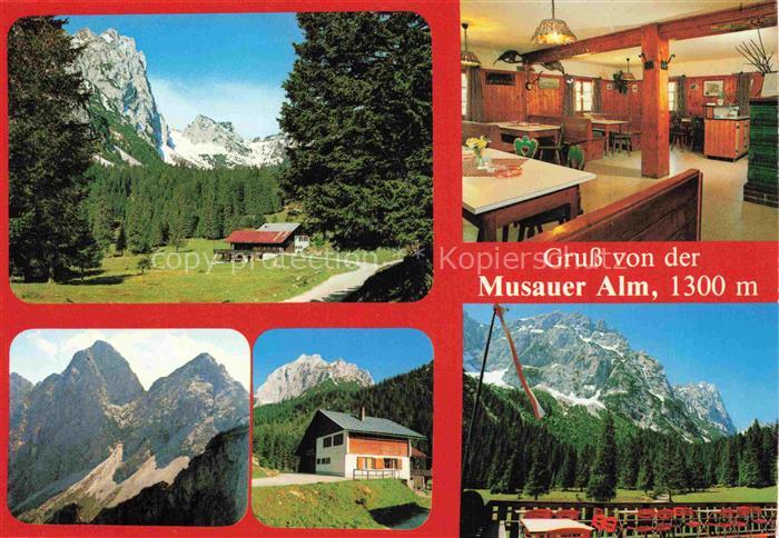 Musauer Alm 1300m Reutte Ausserfern Tirol AT Musauer-Alm Alm Gastraum Berge Tann