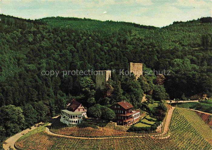 Buehl Baden Burg-Windeck Burgruine Rebgut Burggaststaette Weinberg Wald Fachwerk