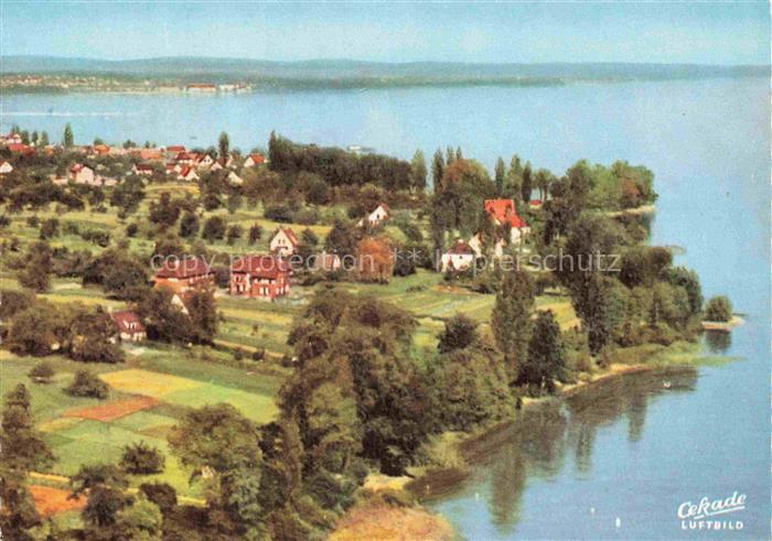 Sommerberg Immenstaad Bodensee BW Hardthof Luftbild Bodensee Halbinsel Siedlung