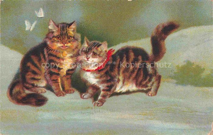 KATZEN Cats Chats Gatos Gatti-- Wenau Delila Schmetterling Litho
