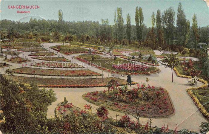 Sangerhausen  Suedharz Rosarium Rosengarten Beete Wege Park Rosen Handkoloriert