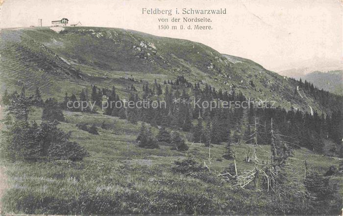Feldberg 1450m Schwarzwald BW Schwarzwald Nordseite Berg Tannen Hotel Wiese Gipf