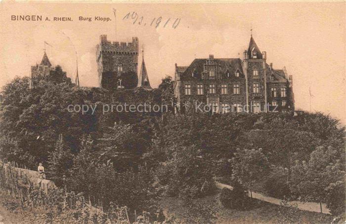 Bingen Rhein Rheinland-Pfalz Burg-Klopp Burgturm Wald Weinberg Fahnenmast Rhein