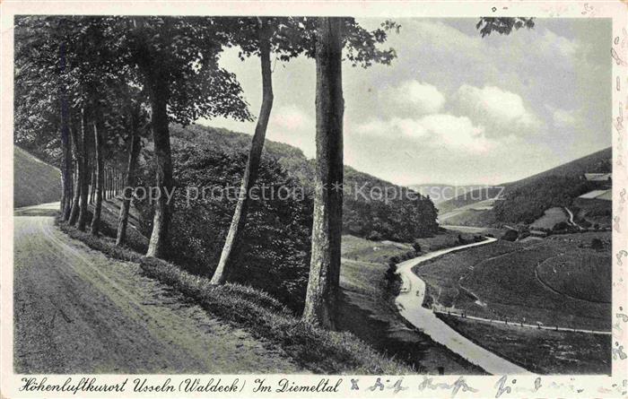 Usseln Willingen Waldeck-Frankenberg Hessen Diemeltal Upland Waldeck Hoehenluftk