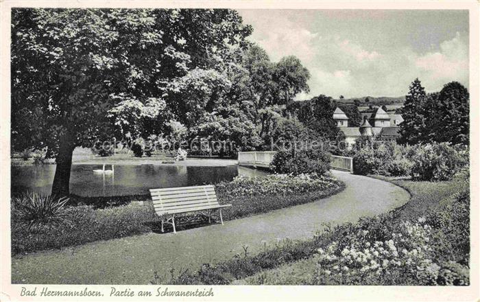 Hermannsborn Schwanenteich Kurpark Schwan Bank Teich Bruecke Heilbad Moorheilbad