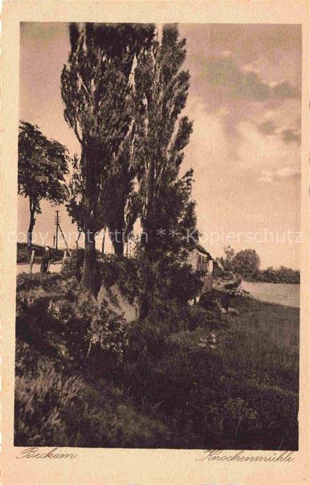 Beckum Westfalen Knochenmuehle Pappeln Landschaft Muehle Feld Weg