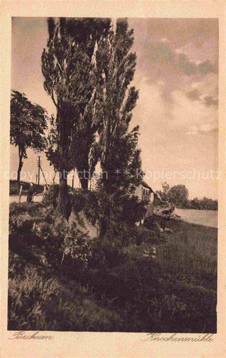 Beckum Westfalen Knochenmuehle Pappeln Baeume Haus Landschaft Felder Strommast