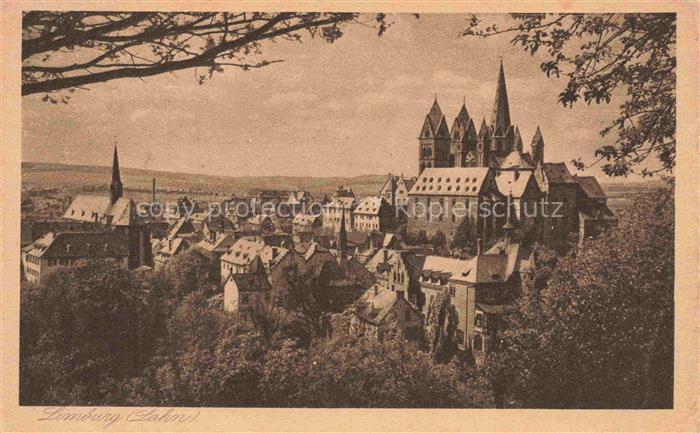 LIMBURG Lahn Hessen Dom Altstadt Lahn Talblick Daecher Stadtansicht Kirche