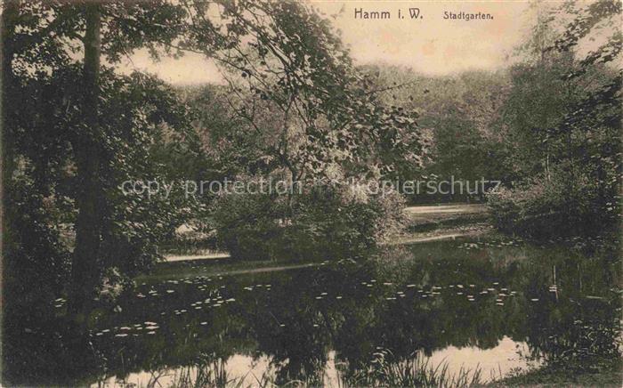 Hamm Westfalen Stadtgarten Park Teich Baeume Wasserpflanzen Gruenanlage