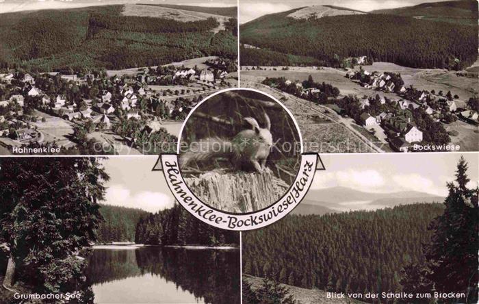 Hahnenklee-Bockswiese Harz Hahnenklee Bockswiese Grumbacher-See Brocken Harz Eic