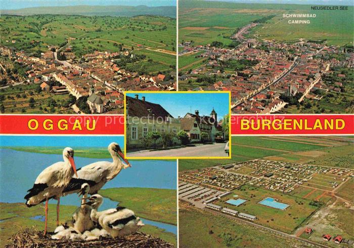 Oggau Neusiedlersee Burgenland AT Fliegeraufnahme Pfarrkirche Hauptstrasse Stoer