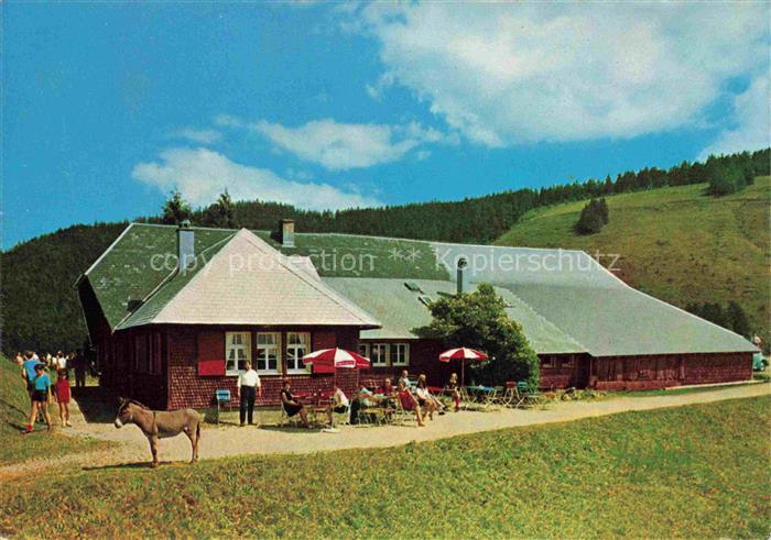 Kaelbelescheuer Almwirtschaft Muenstertal Breisgau-Hochschwarzwald BW Almgaststa