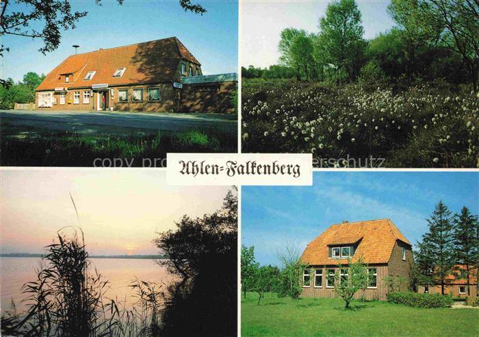 Ahlen-Falkenberg Moorquelle Gasthaus See Schilf Wohnhaus Wiesenblumen Abendstimm