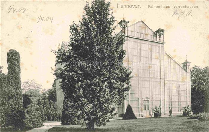 Badenstedt HANNOVER Palmenhaus Herrenhausen Gewaechshaus Glashaus Park Baum Schl