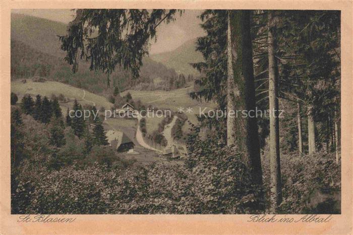ST BLASIEN BW Albtal Wald Tal Wiesen Haeuser Schwarzwald Nadelbaeume