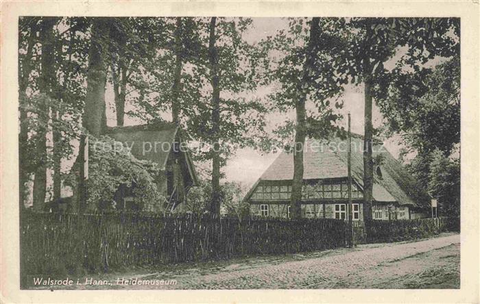 Walsrode Lueneburger Heide Heidemuseum Fachwerk Reetdach Baeume Zaun Sandweg Hei