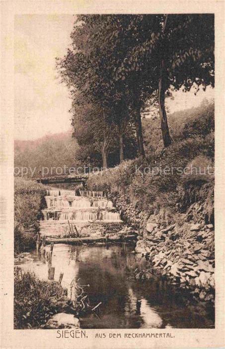 SIEGEN  Westfalen NRW Reckhammertal Bach Wasserfall Wald Baeume Naturlandschaft