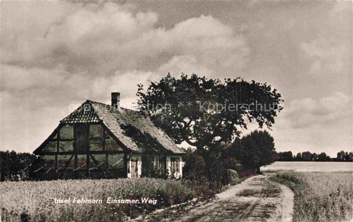 Fehmarn Ostsee Schleswig-Holstein Insel-Fehmarn Feldweg Fachwerkhaus Kornfeld Ba
