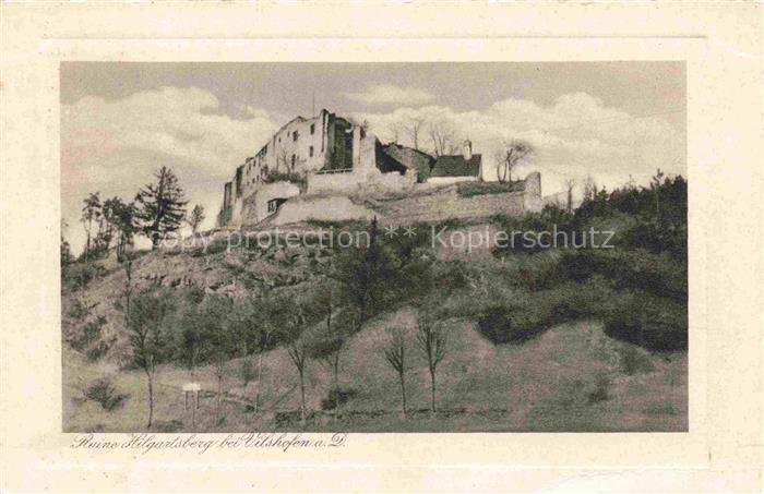 Vilshofen Donau Bayern Ruine-Hilgartsberg Burgruine Huegel Baeume Donaugebiet