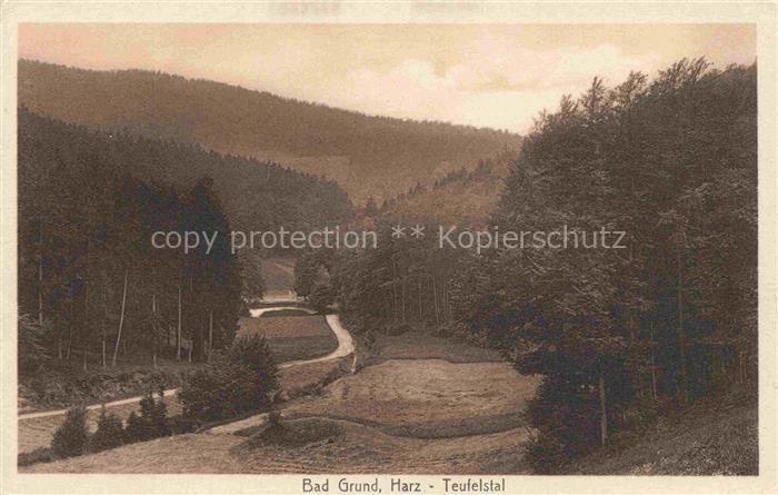 Bad Grund Harz Osterode Niedersachsen Teufelstal Wald Tal Weg Berge Nadelbaeume