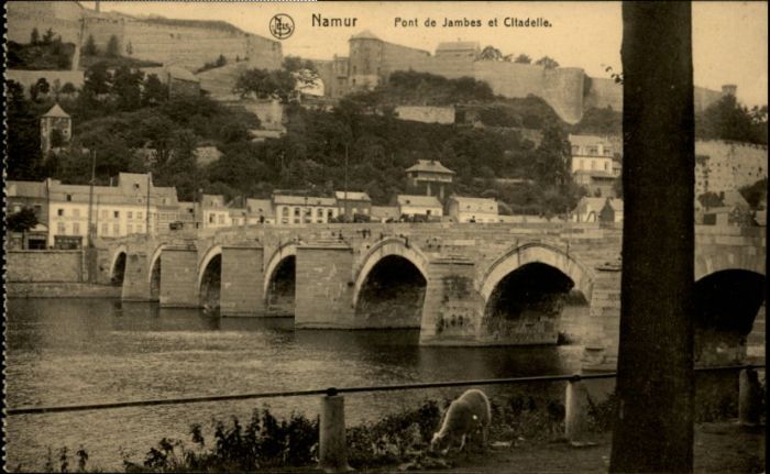 Namur Wallonie Namur Pont de Jambes Citadelle