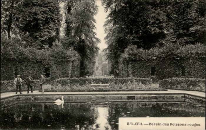 Beloeil Hainaut Bassin Poissons Rouges