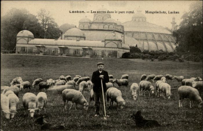 Laeken Parc Royal Mangelschotz