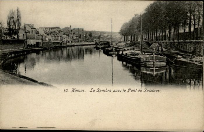 Namur Wallonie Namur Sambre Pont Salzines