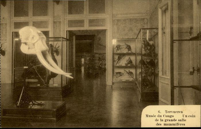 Tervueren Musee Congo