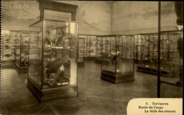 Tervueren Musee Congo