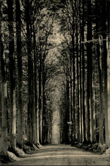 Tervueren Parc Jardin francais