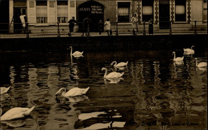 Bruges BRUGGE Belgie Bruges Quai Long Cygnes
