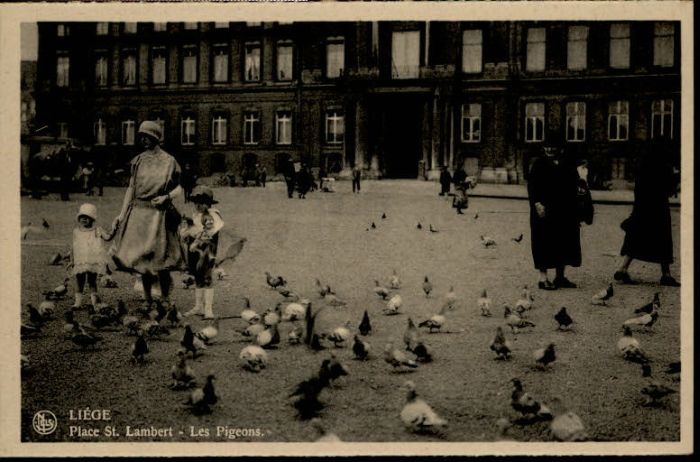 Liege Luettich Liege Place St. Lambert Pigeons