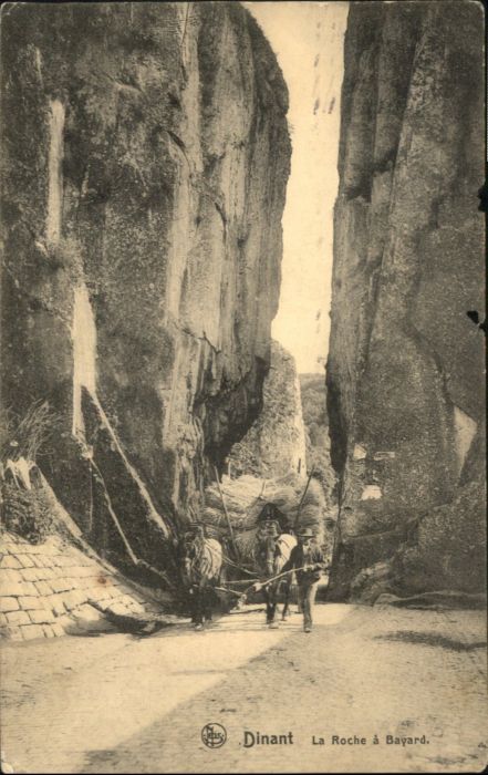 Dinant Wallonie Dinant Roche Bayard