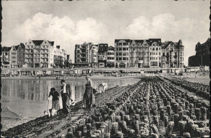 Zoute Knokke Zoute Plage Strand