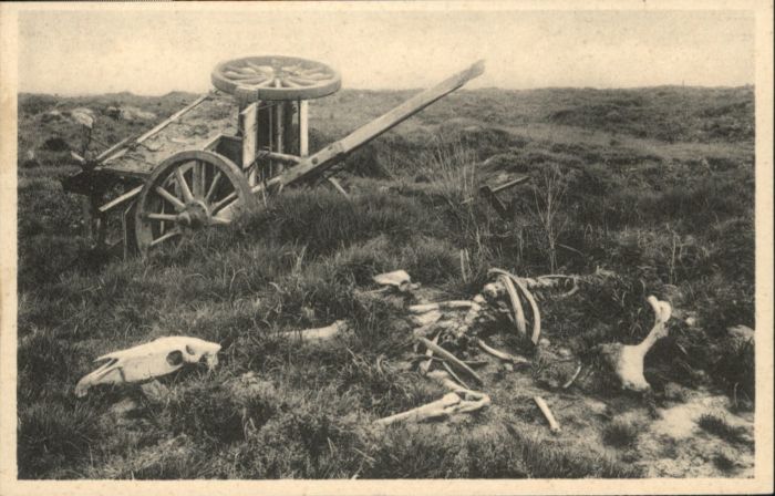 Poelcapelle Poelkapelle Ypern West-Vlaanderen Belgie Pferdegerippe Wagen