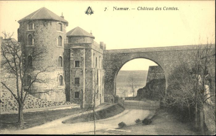 Namur Wallonie Namur Chateau Comtes
