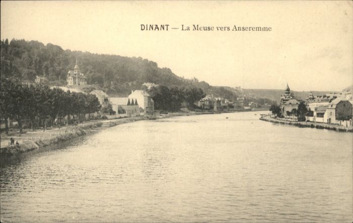 Dinant Wallonie Dinant Anseremme Meuse