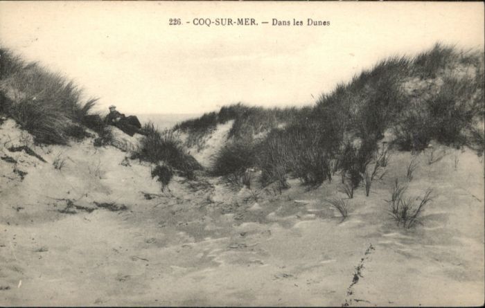 Le Coq Dunes