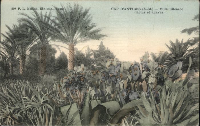 Antibes Alpes Maritimes Antibes Cap Villa Eilenroc