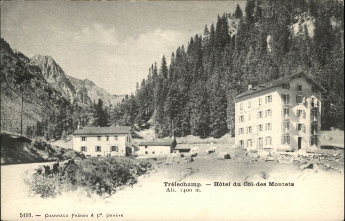 Trelechamp Hotel du Col Montets